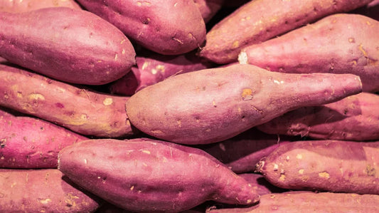 Murasaki Sweet Potato